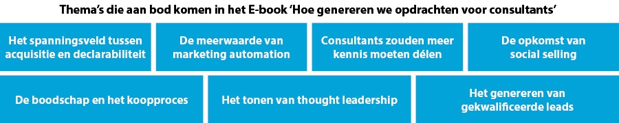 E-book - Hoe genereren we opdrachten voor consultants